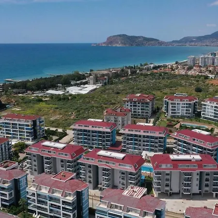 Calypso In Kestel C21 *